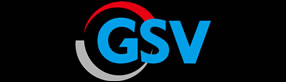 GSV(yn)S,GSV(yn)S,GSVJ(rn)C